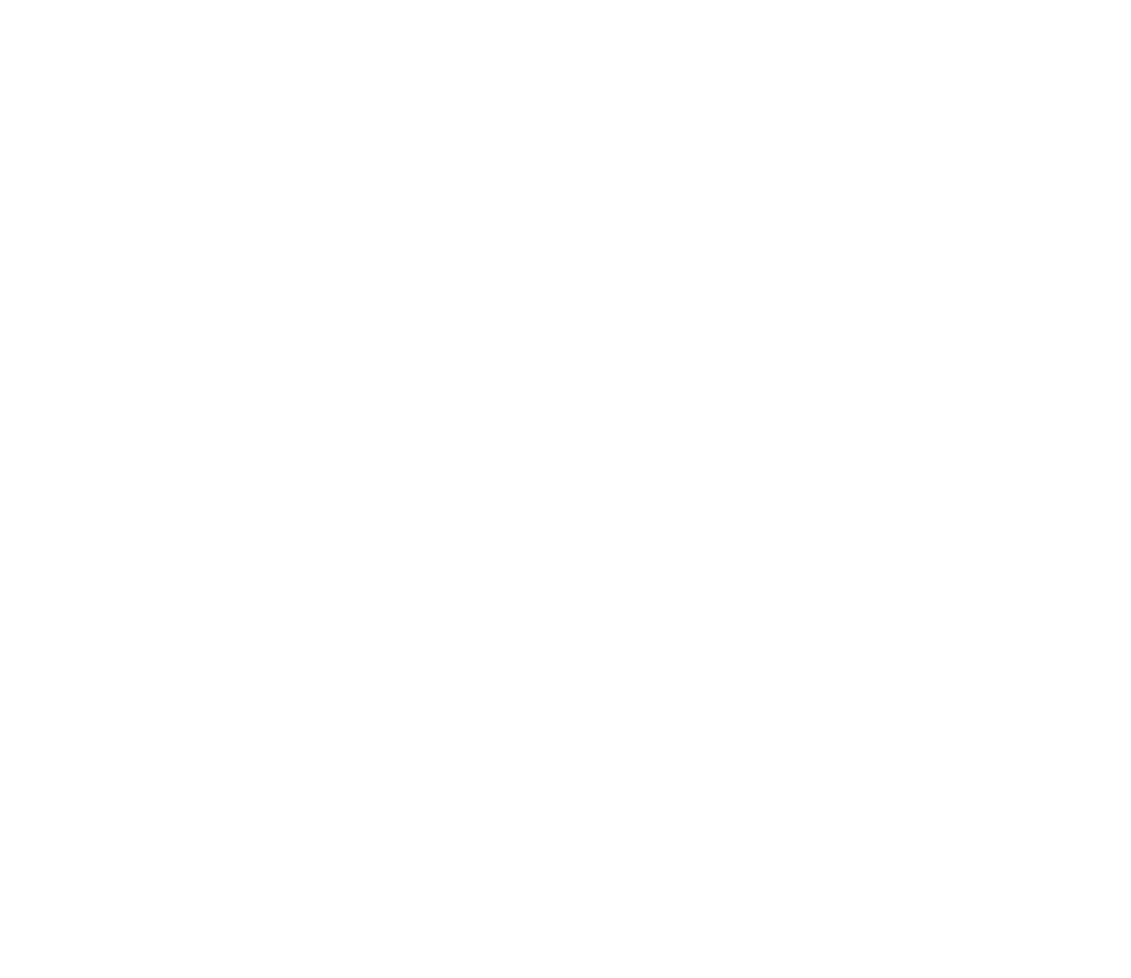 20. GGI Global Alliance